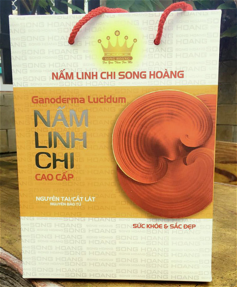 Nấm Linh Chi Song Hoàng - Cao Cấp - Loại 500g