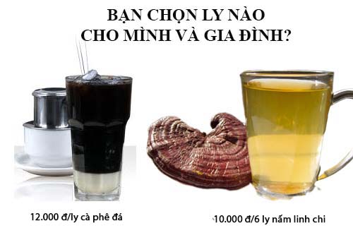 Uống Nấm Linh Chi Rẻ Hơn 1 Ly Cà Phê