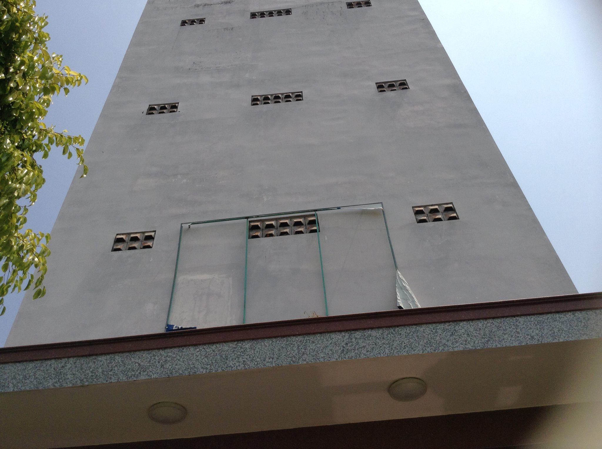 YẾN NHÀ CÓ KHÁC YẾN ĐẢO ?